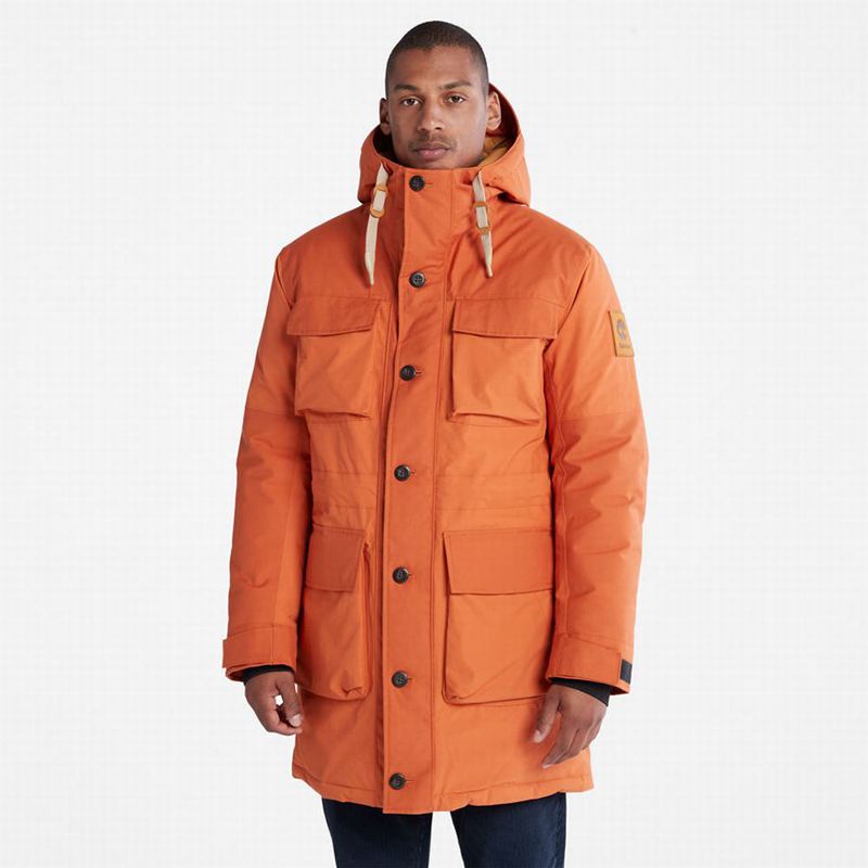Parka Timberland Wilmington Expedition Oranžové | 7069658